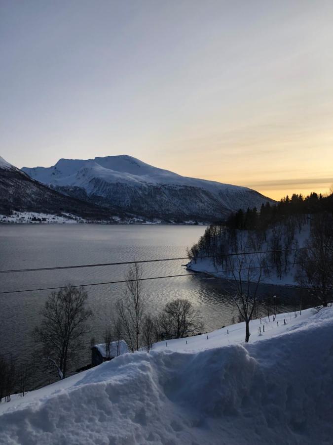 Hundbergan Apartment-Free Parking-15 Min From Tromso Tromsdalen Luaran gambar